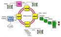 pdh sdh tester analyzer