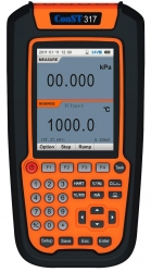 Process Multifunction Portable Calibrator ConST317